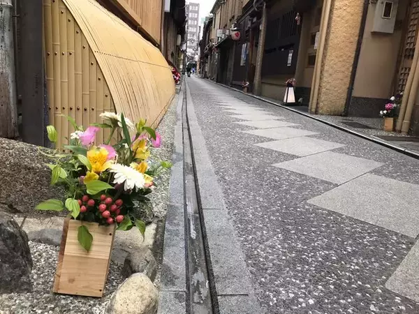 「【京都ぶらり】夏の風物詩鴨川納涼床でおなじみ『先斗町』☆有名割烹から歌舞練場まで」の画像