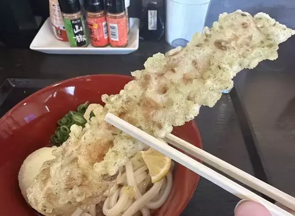 「【京都ランチ】茶の町で見つけた人気店！ムチムチうどんがたまらない！「たなか家」」の画像