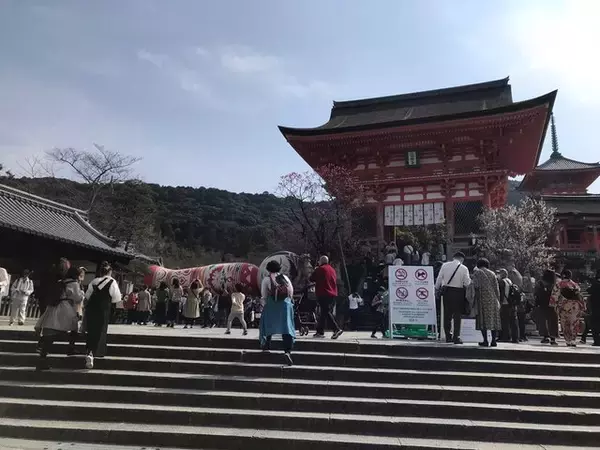 「【話題】京都随一の観光スポット清水寺にボソっとつぶやき横たわる巨大こけしが！！」の画像