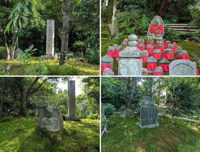 【京都】“花の寺”として有名な法金剛院で蓮の花を楽しむ「観蓮会」が開催