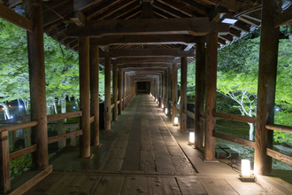 【京都夜観光】涼風と青もみじの雲海 音座禅の体験も「ZEN NIGHT 東福寺」