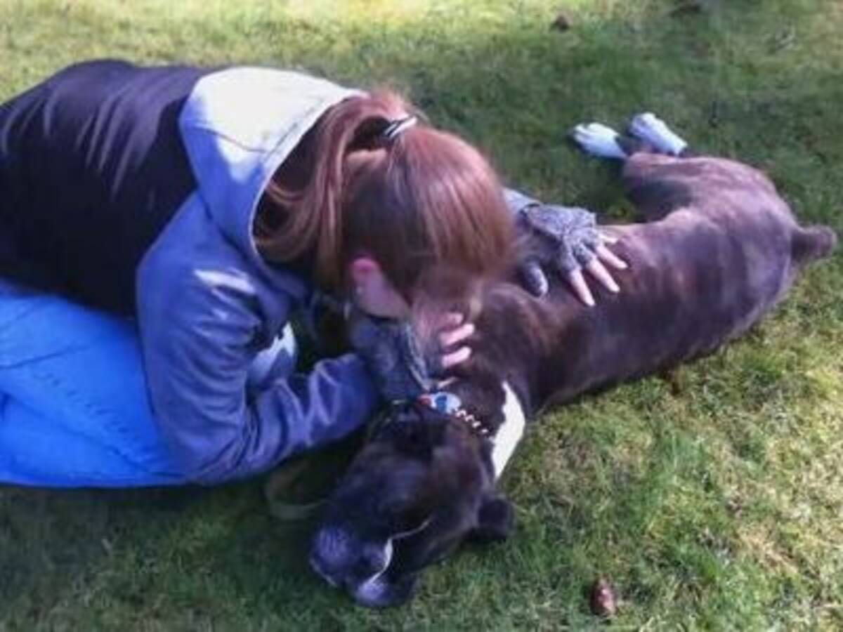 助かった 心肺停止で倒れた犬が心臓マッサージによって回復する一部始終 動画 11年3月12日 エキサイトニュース