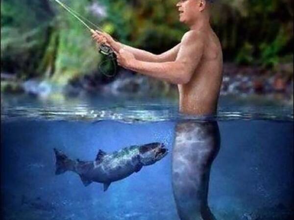 ドイツの湖で魚が大量死 原因は尿のせい 12年5月15日 エキサイトニュース