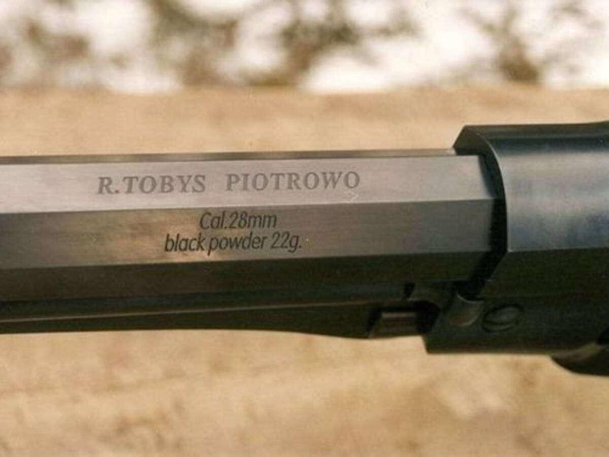これが世界最大のリボルバー拳銃なのか 13年2月2日 エキサイトニュース