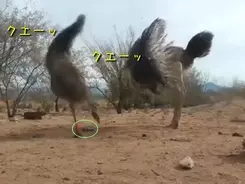 スヌーピーの知られざる怖い話 兄に婚約者を寝取られていた など 13年12月9日 エキサイトニュース