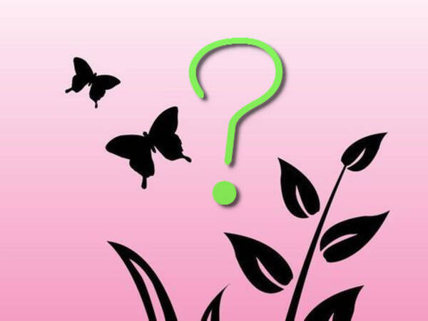 透明のチョウを見つけたので撮ってみた うしろが透けて見える写真 海外の反応 14年5月6日 エキサイトニュース