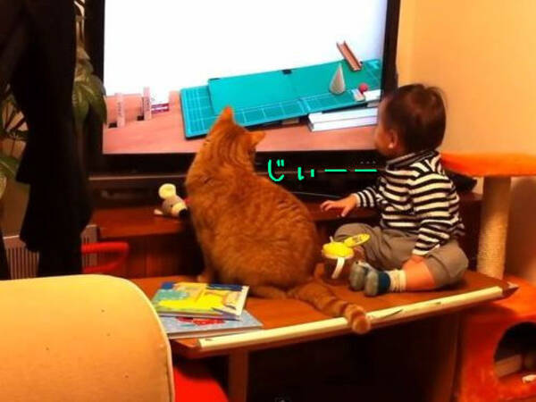 最後に注目 ピタゴラスイッチを仲良く見る猫と赤ちゃん 動画 14年6月13日 エキサイトニュース