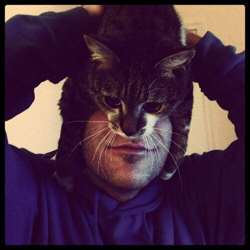 みんなの愛猫を使ってバットマン ならぬキャットマンごっこをしよう 変身した写真いろいろ 14年6月29日 エキサイトニュース