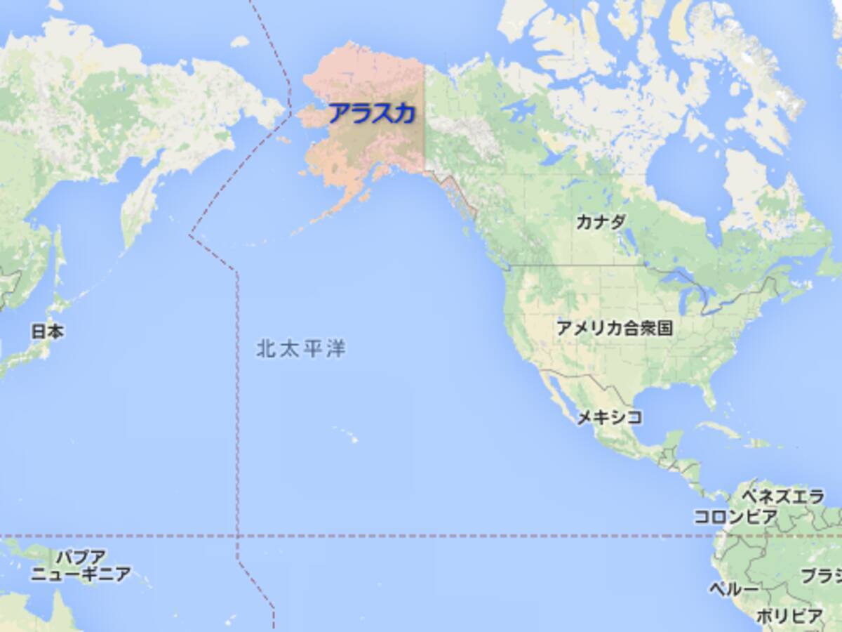 アラスカではワシが鳩みたいな存在なんだ 他の国ではありえない写真 14年8月日 エキサイトニュース