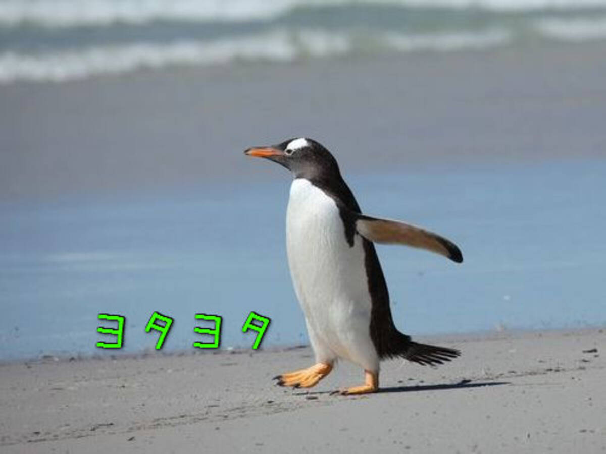 ペンギンにも立派なヒザがあったなんて 海外の反応いろいろ 15年6月10日 エキサイトニュース