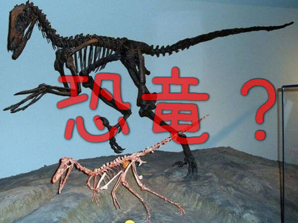たった今 鳥が恐竜の子孫だと実感した その理由がこれ 納得の1枚 15年7月2日 エキサイトニュース