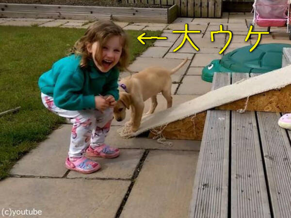 華麗にすべる犬を見て 女の子の笑いが止まらない 動画 15年7月27日 エキサイトニュース