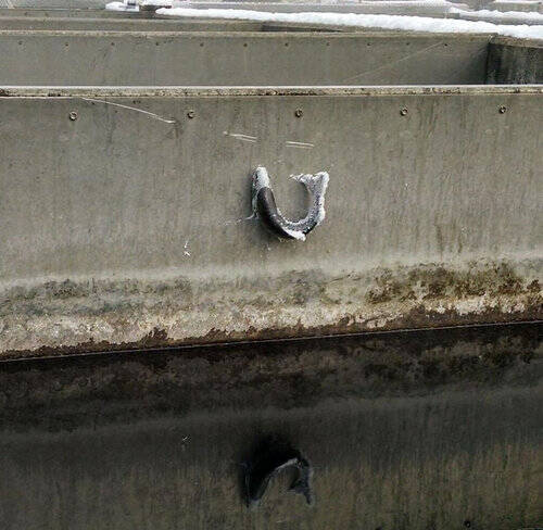 見てほしい あまりの寒さで魚が跳び上がった状態で凍結してるんだ 寒さが伝わってくる写真 2016年3月8日 エキサイトニュース