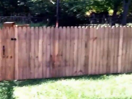 犬が外に出ないよう立派なフェンスを作ったぜ 自慢げに撮影していたら あっ 動画 16年3月22日 エキサイトニュース