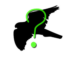 見える 懐かしの マジカルアイ がネット上でまた話題 有名女優が投稿した画像に 全く見えない の声が多数あがる 16年6月18日 エキサイトニュース