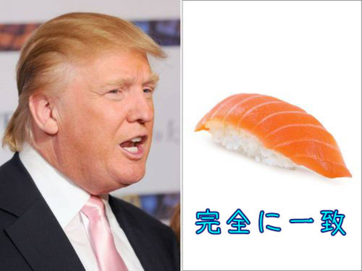 トランプ氏のヘアスタイルと完全に一致する写真をください そっくり画像いろいろ 16年10月15日 エキサイトニュース