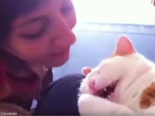 女性 チュッ 猫 ニャッ キスするたびに返事 動画 17年2月日 エキサイトニュース