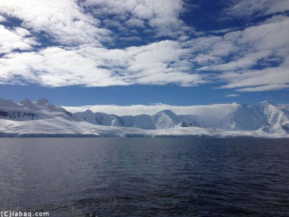 南極で地図を広げると こんなクレイジーなことになるって知ってた 迷うこと間違いなしの地図 17年3月7日 エキサイトニュース