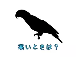 急に悪寒が ただ寒いだけ それとも病気の可能性 17年3月22日 エキサイトニュース