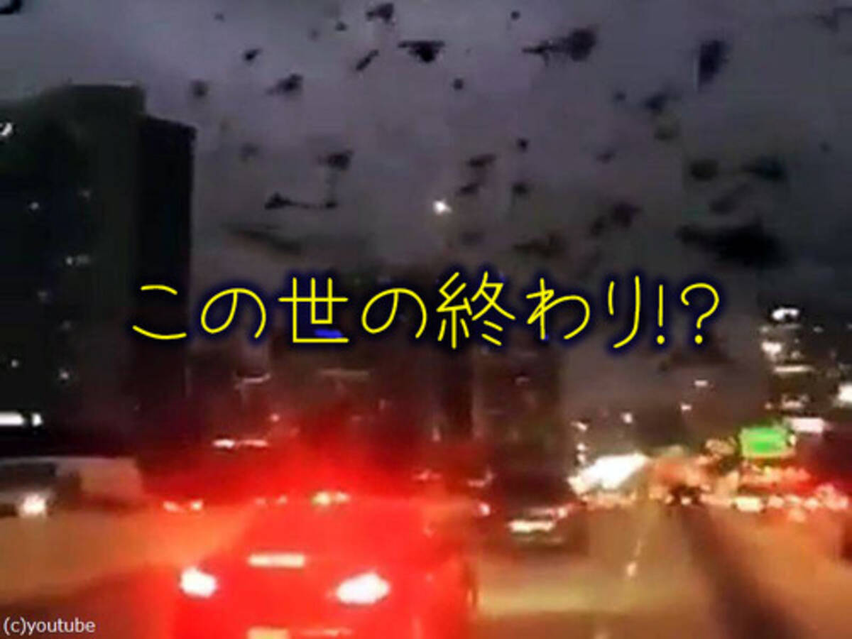 テキサス州で鳥の大群に突っ込むと この世の終わり みたいな光景になる 動画 17年3月23日 エキサイトニュース