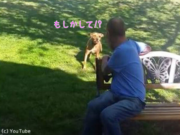 犬 ああっ もしかして ご主人様なの しばらく入院していた飼い主と感動の再会 動画 17年5月4日 エキサイトニュース