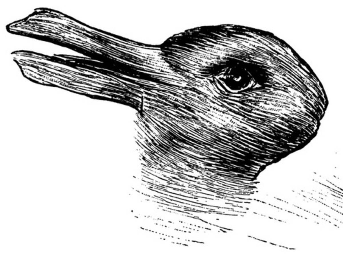 有名な ウサギとアヒルのだまし絵 そっくりの生き物が現実にいた 17年7月9日 エキサイトニュース