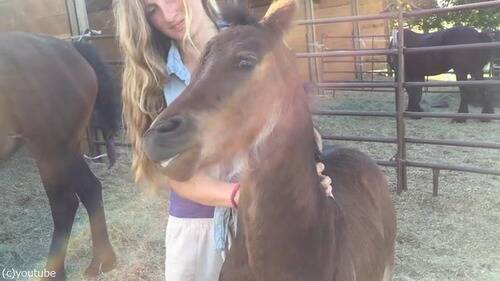 こんなに表情豊かな馬 他にいる 女性がナデナデすると 満面の笑顔に 動画 17年7月19日 エキサイトニュース