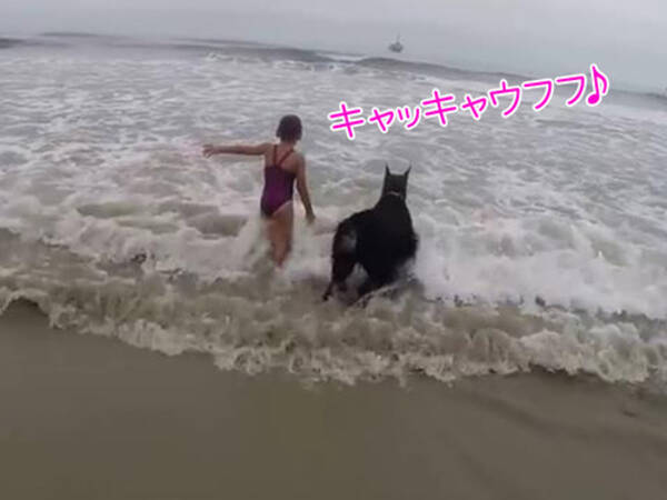 愛犬 そっちは危ないよ 小さな女の子を波から守る 動画 17年7月22日 エキサイトニュース