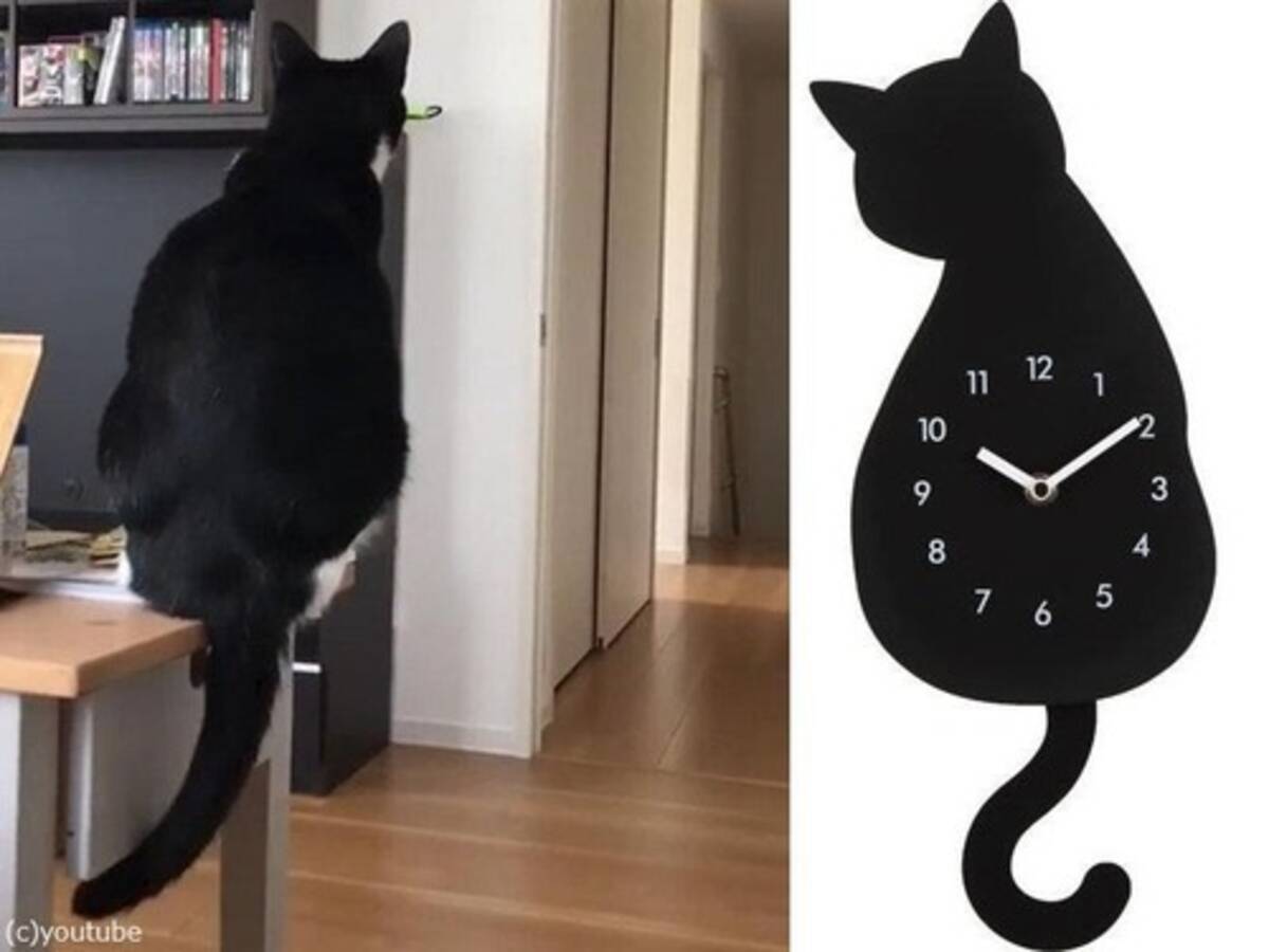 猫のしっぽが振り子時計と シンクロしてる 動画 17年9月11日 エキサイトニュース