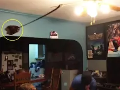 盛り上がること間違いナシ 絶対にスベらない文化祭の出し物 17年9月14日 エキサイトニュース 3 5