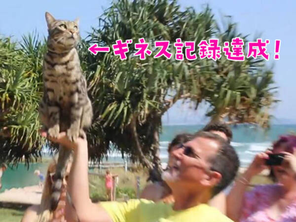 スケートボードに乗る猫が 新たなギネス記録を達成 動画 17年10月15日 エキサイトニュース