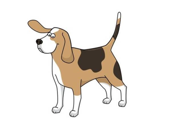 トランプ大統領 なんと 犬の耳の中 から発見される 世界中で人気の写真 17年11月8日 エキサイトニュース