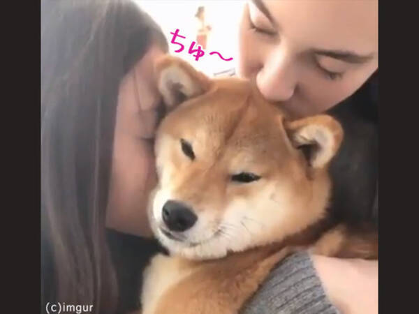 美女が柴犬にキスしまくると なるほど こんな顔をするのか 動画 18年1月10日 エキサイトニュース