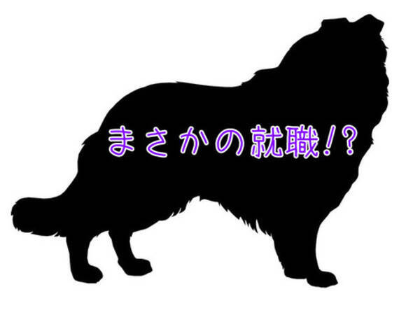 逃げたうちの犬が近所の店にいると知り 迎えに行ったら えっ 就職してる 18年1月14日 エキサイトニュース