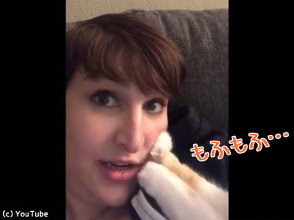 猫にほっぺを踏み踏みされる女性 世界中から羨望の眼差しを浴びる 動画 18年1月31日 エキサイトニュース