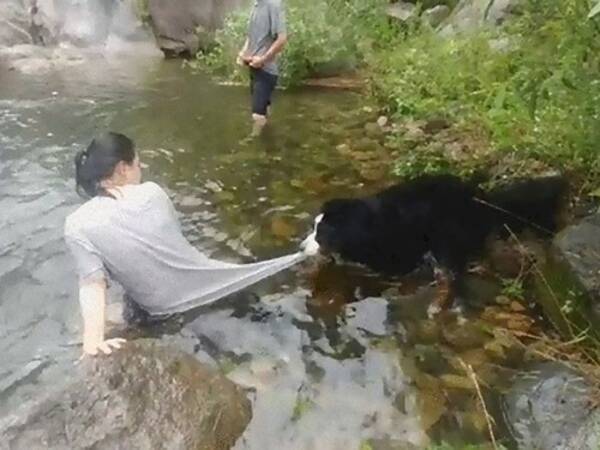 どうしよう 犬が川遊びをさせてくれないの 危険を察知して助けようとする 18年3月7日 エキサイトニュース