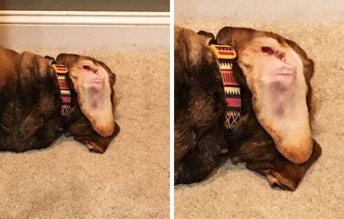 この子の足 細すぎる 絶対に2度見しちゃう写真 18年3月7日 エキサイトニュース