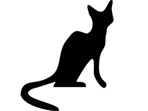 猫の戦闘力が上がりそうなタワーを作ってみた お似合いだと好評 18年3月8日 エキサイトニュース