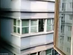 どんぐりを犬の中に隠そうとするリス 犬 えっ そこは えっ 動画 18年3月17日 エキサイトニュース