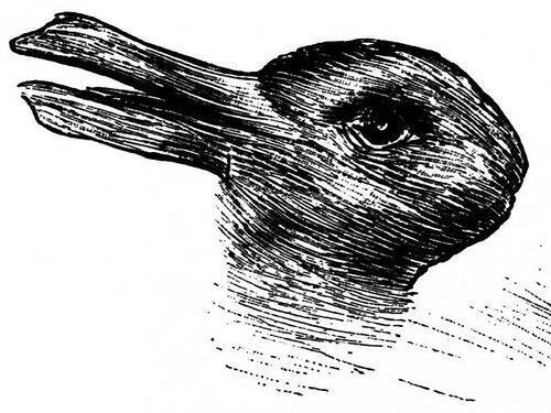 ウサギとアヒルのだまし絵 を実写にすると 想像以上にかわいいことが判明 18年4月27日 エキサイトニュース