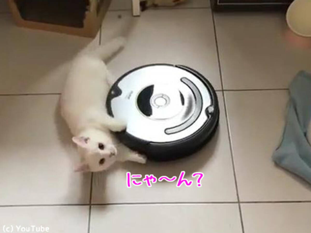 猫 ルンバの新たな楽しみ方を開発する 動画 18年5月14日 エキサイトニュース