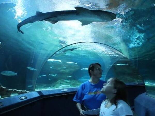 ニュージーランド国立水族館に 月間優秀賞 が貼り出されている あれ 他にも変な賞がある 2018年7月18日 エキサイトニュース