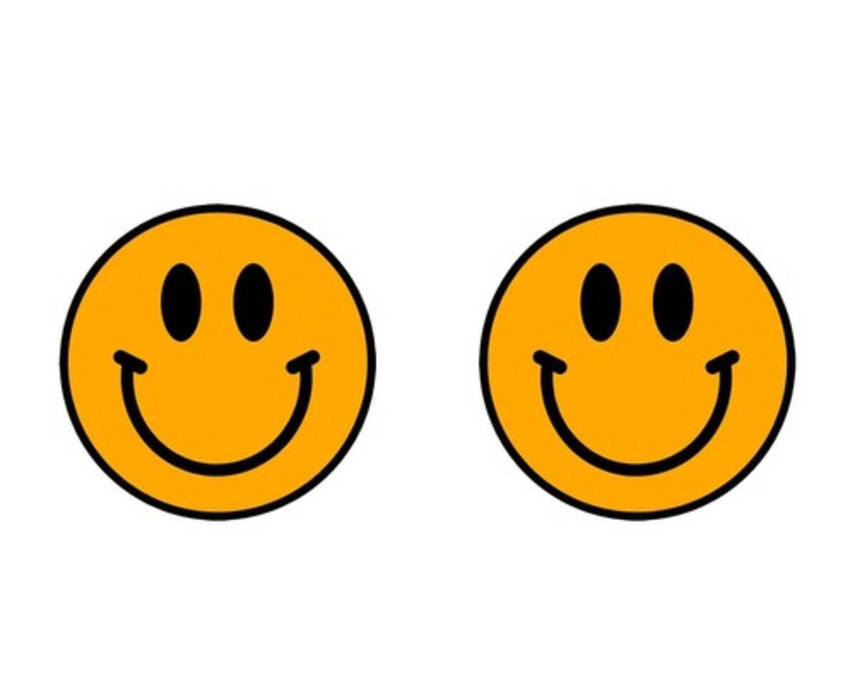 そっくりな私とお兄ちゃんが顔交換アプリを使ってみたら こんな写真になった 兄妹を入れ替えた結果 18年8月19日 エキサイトニュース