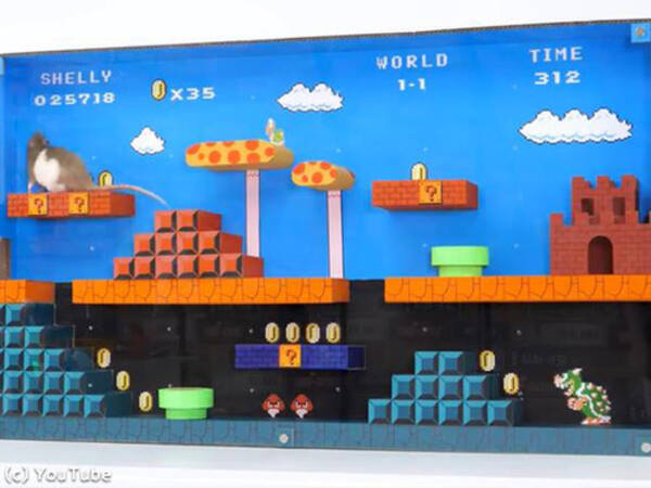 ペットのために作ったマリオ風迷路 ダンボール製とは思えないクオリティ 動画 18年8月28日 エキサイトニュース