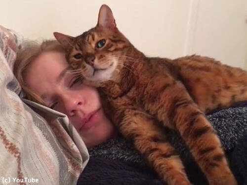 猫が ベッドで寝ている女性にベッタリ 動画 18年10月21日 エキサイトニュース