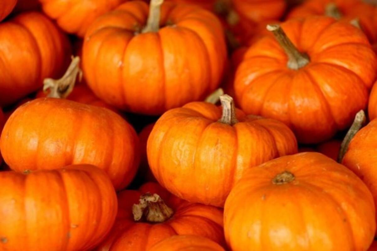 宝石職人にハロウィンのカボチャ彫刻を依頼 あまりに怖いと飾るのを拒否される 18年11月3日 エキサイトニュース