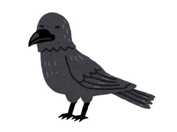 このカラスに憧れてしまった 注目を集めていたクールな1枚 19年4月16日 エキサイトニュース