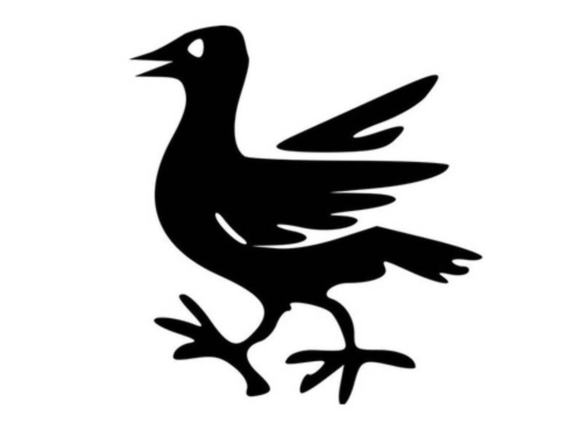 こんなに美しい顔の鳥がいるなんて 敗北感を感じた 19年5月3日 エキサイトニュース