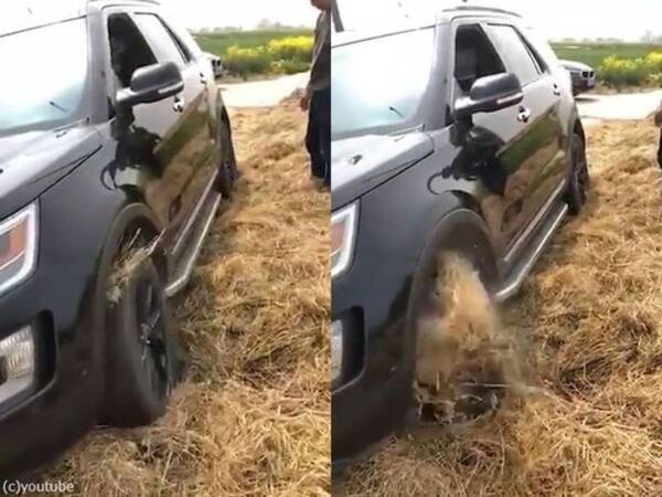 車を干し草の上に乗り上げてしまったら 絶対にこれをしてはならない 中国で起きた悲劇 19年8月3日 エキサイトニュース