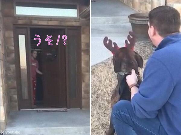 号泣する娘 ずっと保護センターで世話していた犬を サプライズで両親がプレゼントする 19年12月27日 エキサイトニュース